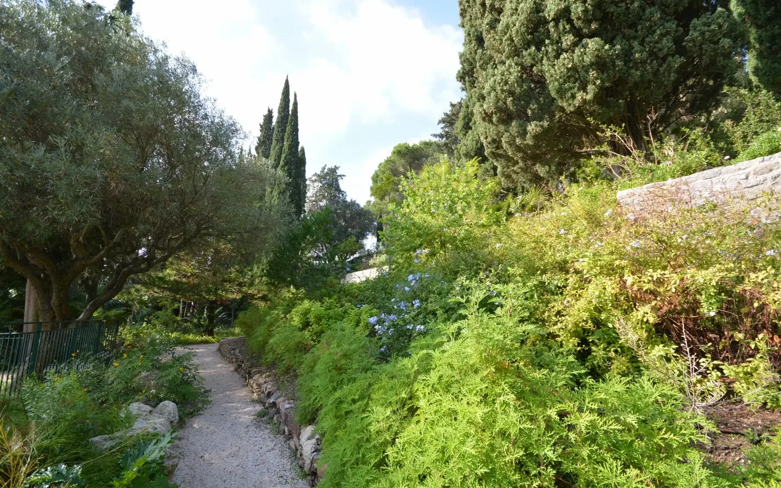 Le jardin Sainte-Claire à Hyères