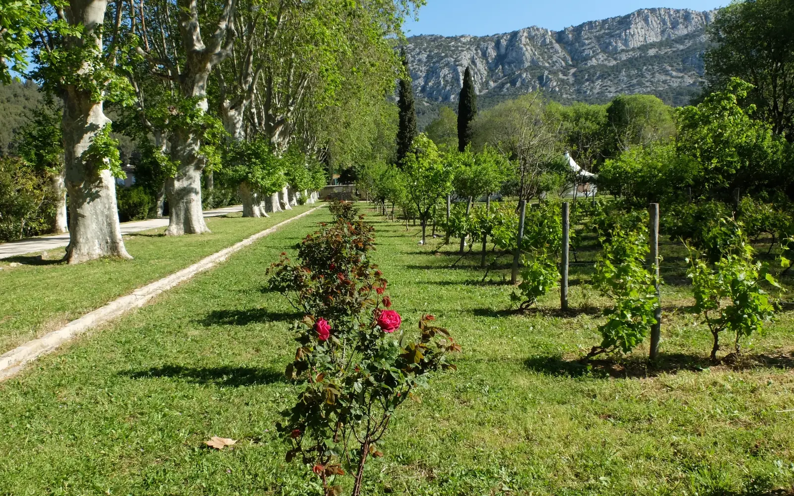 Giardino di Baudouvin