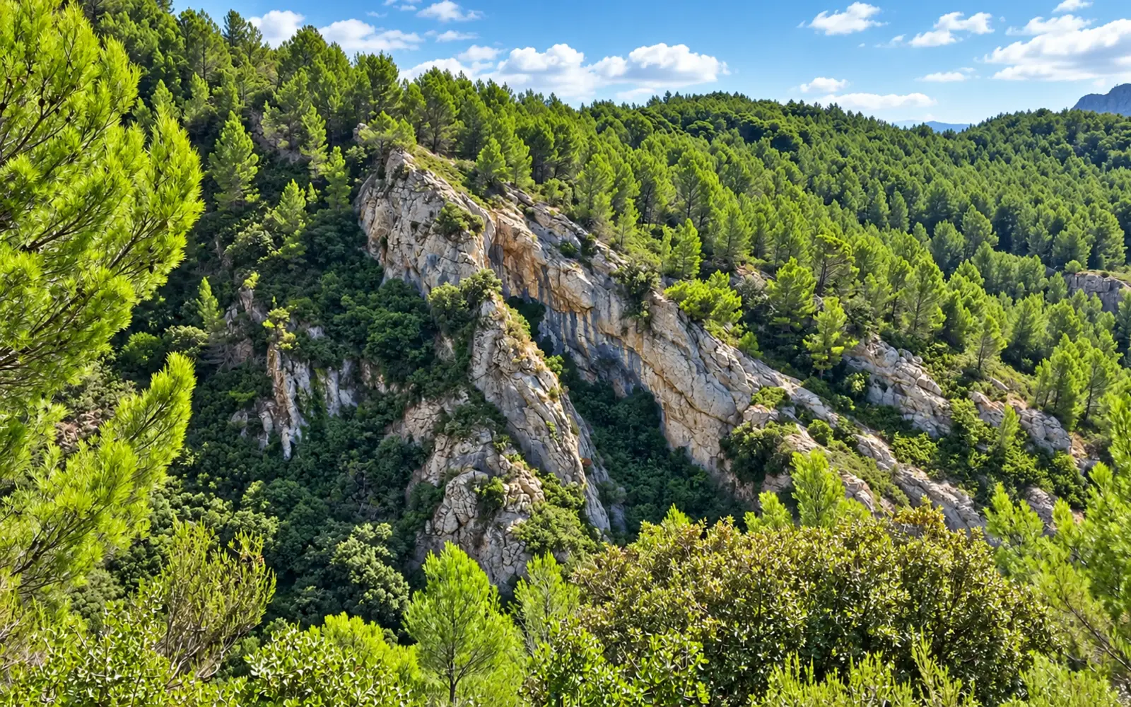 Hiking Mont Caume