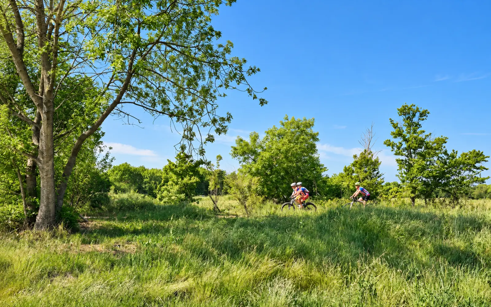 Espace nature du Plan, La Garde