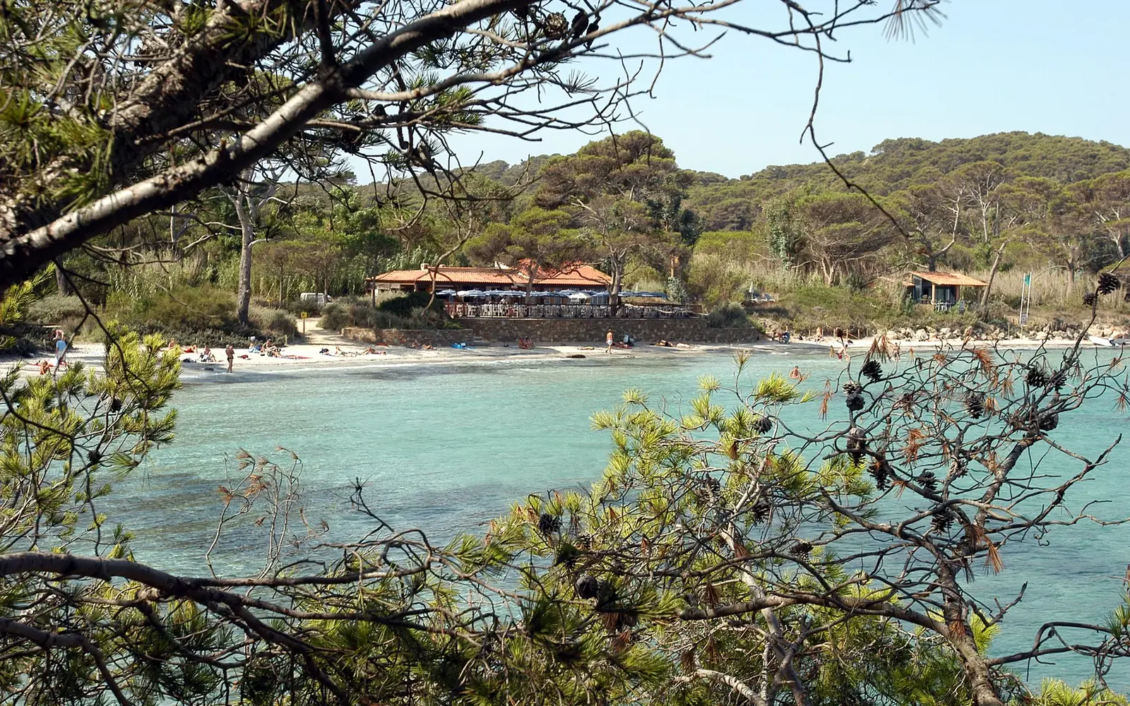 Plage d’Argent auf Porquerolles