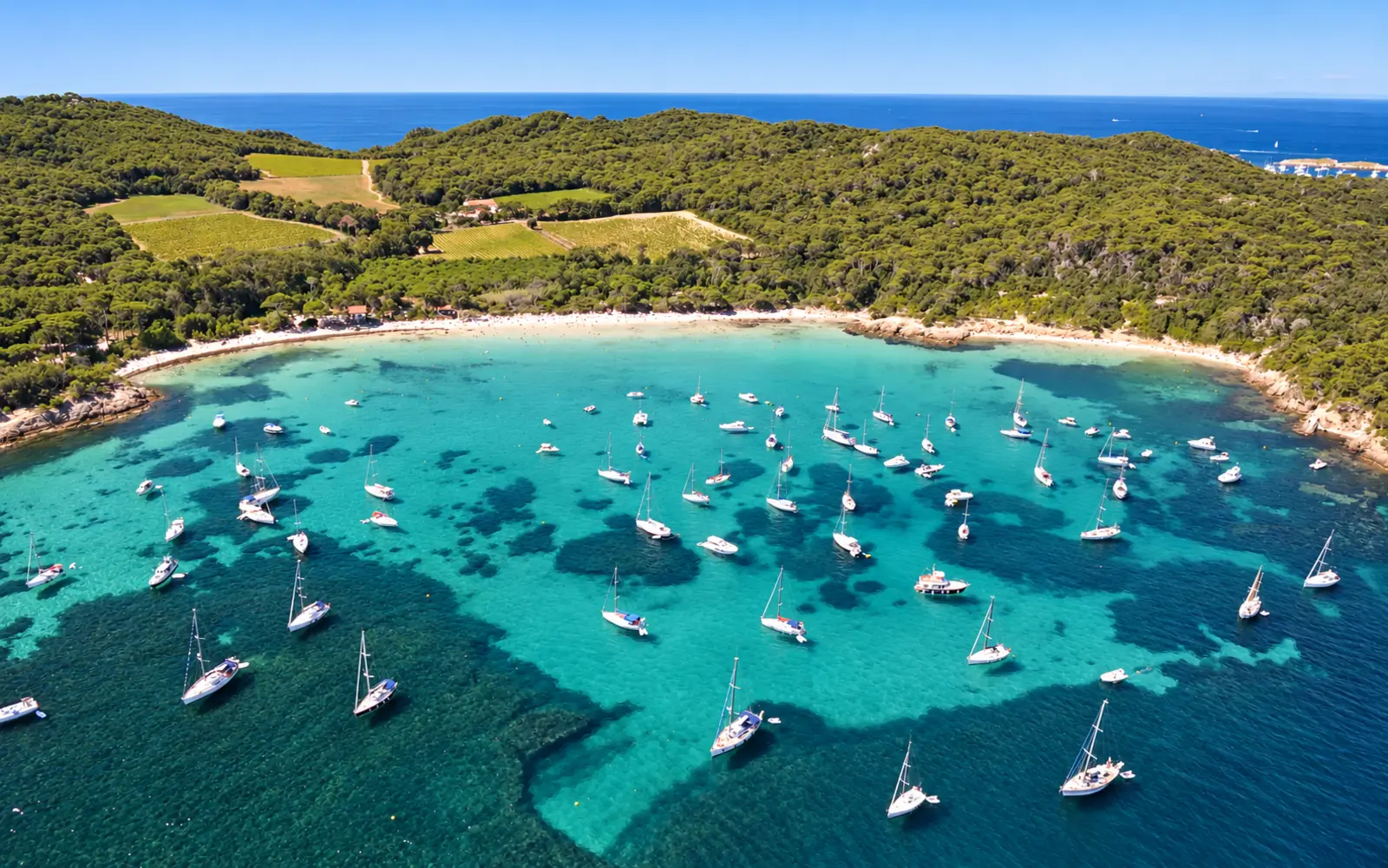 Plage d’Argent auf Porquerolles
