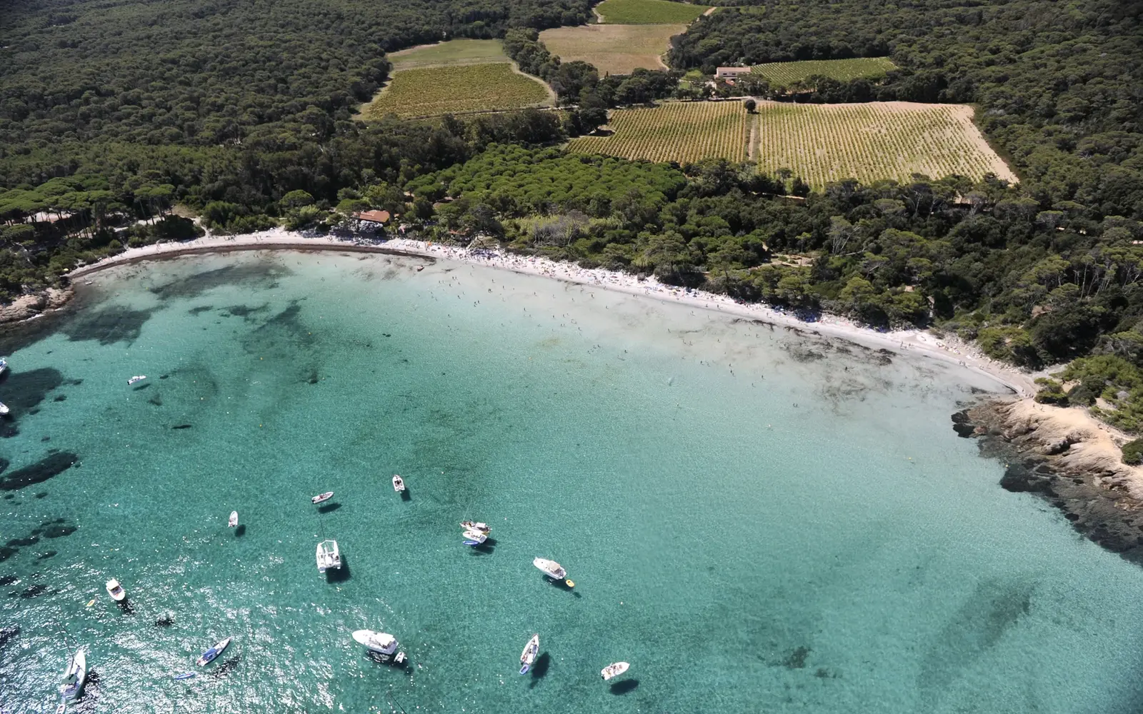 Plage d’Argent auf Porquerolles