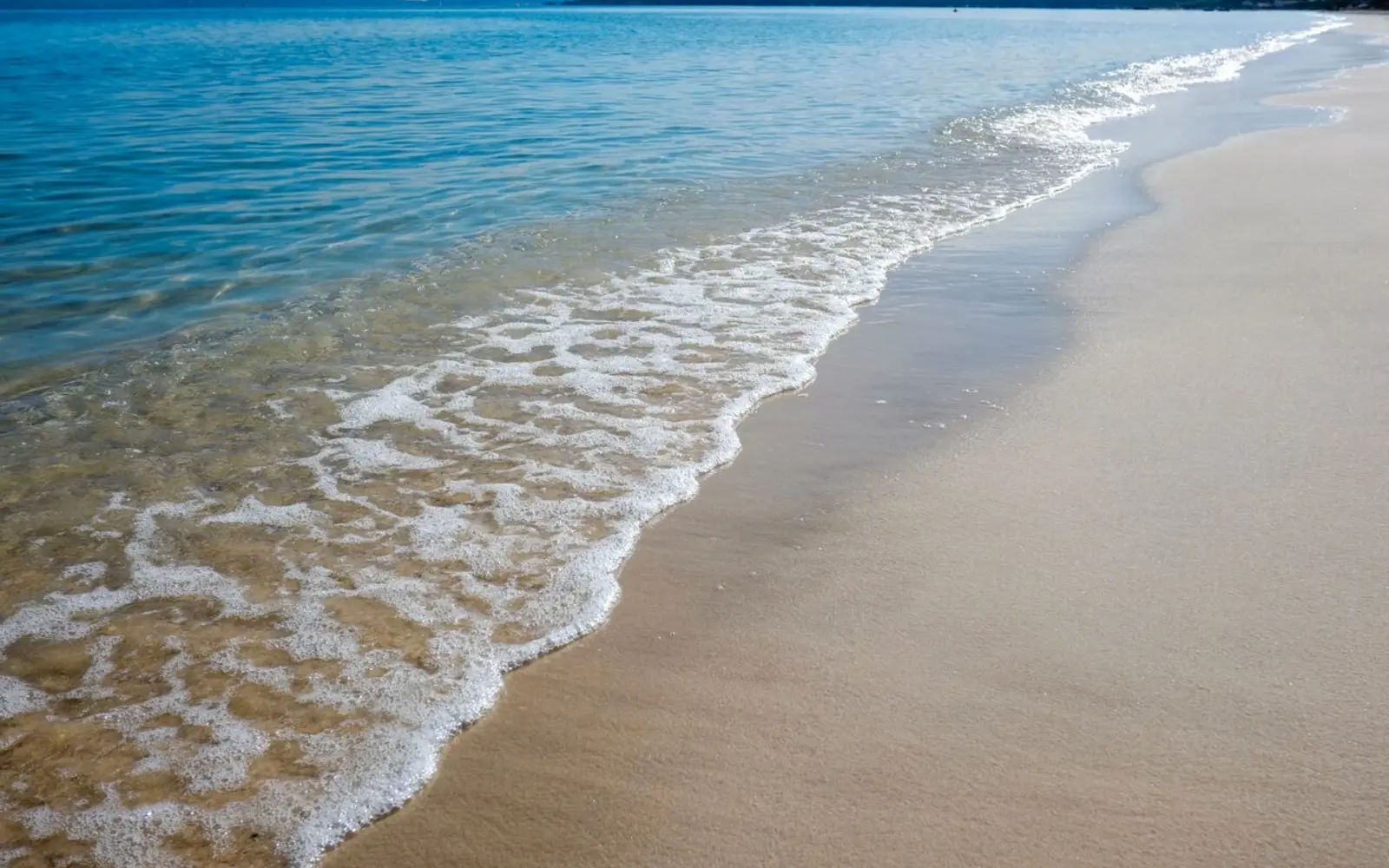 Plage de la Bergerie