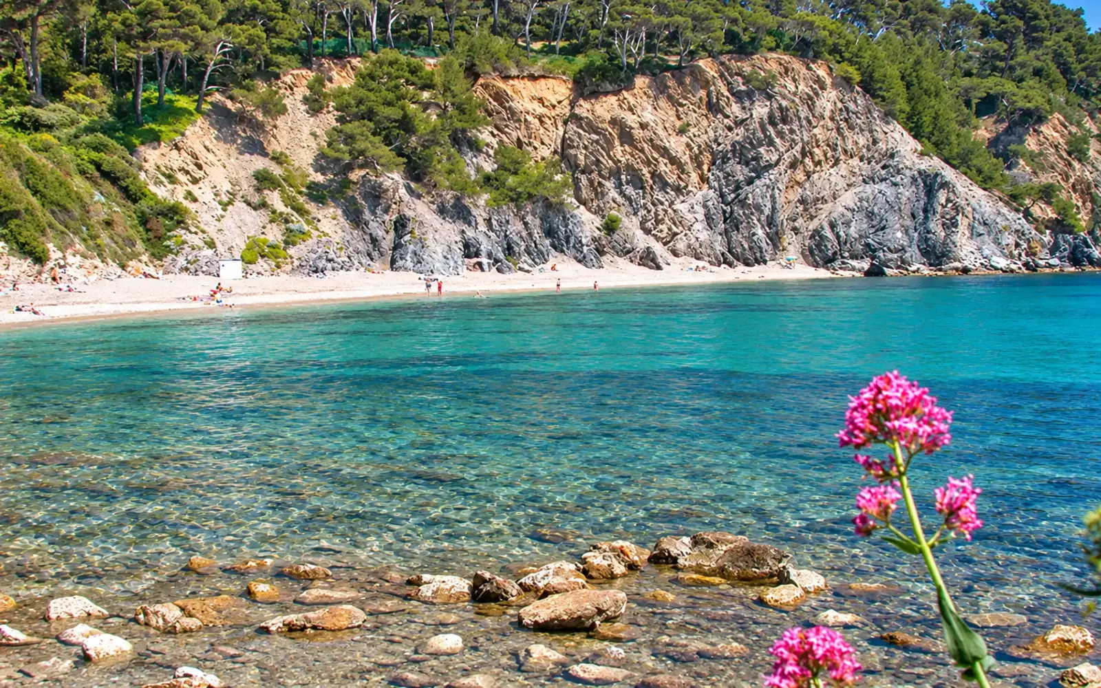 Monaco beach