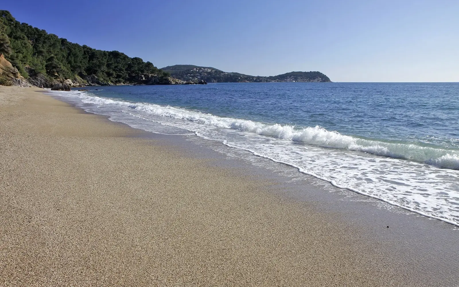 Monaco beach