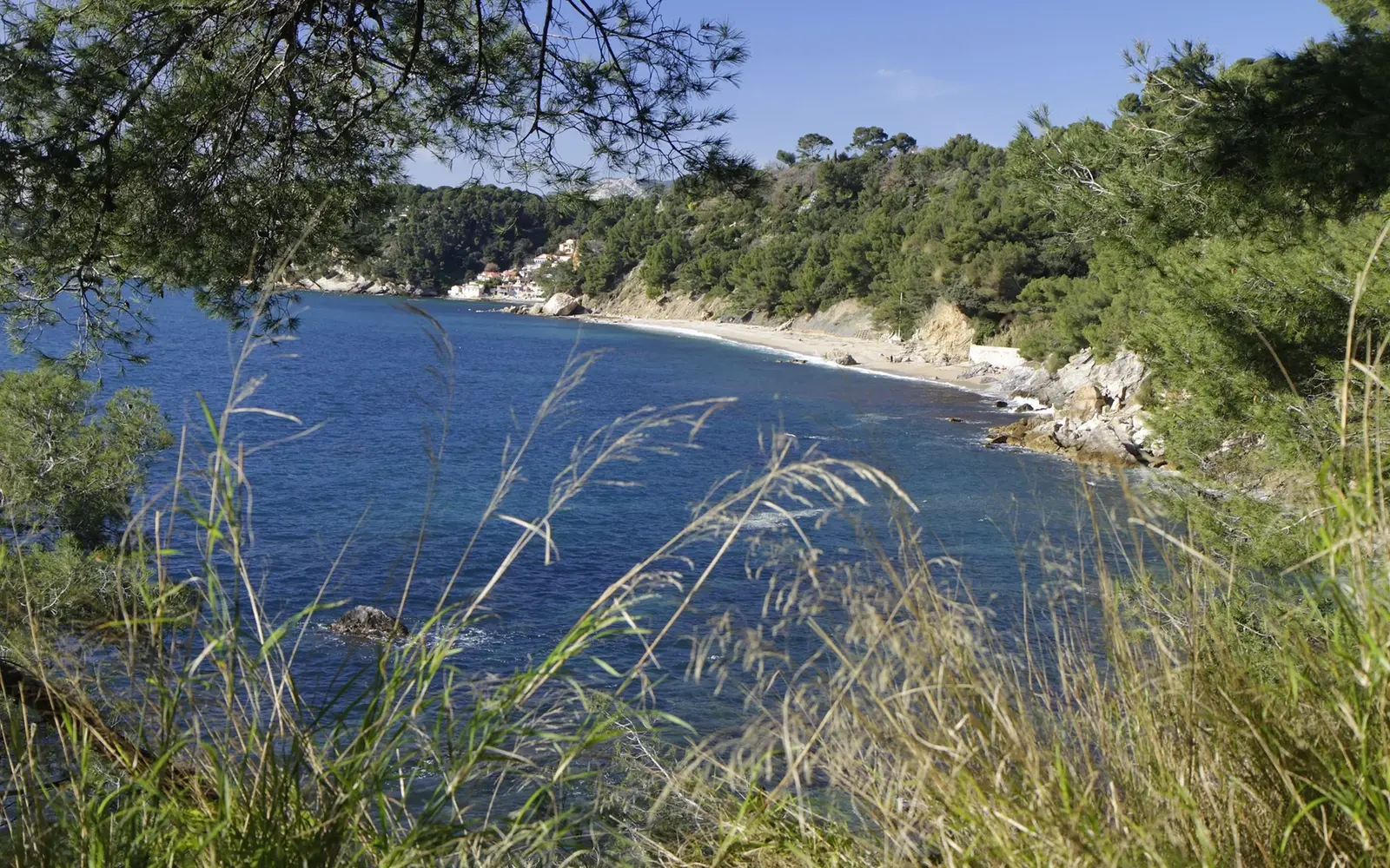 Monaco beach