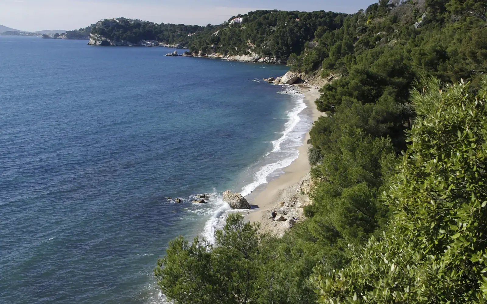 Monaco beach