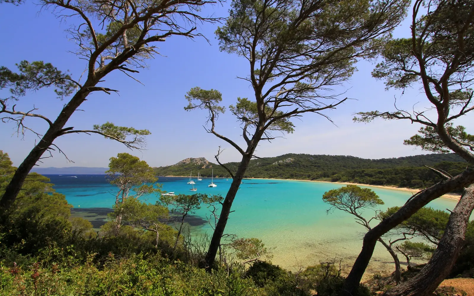 Plage Notre-Dame &agrave; Porquerolles