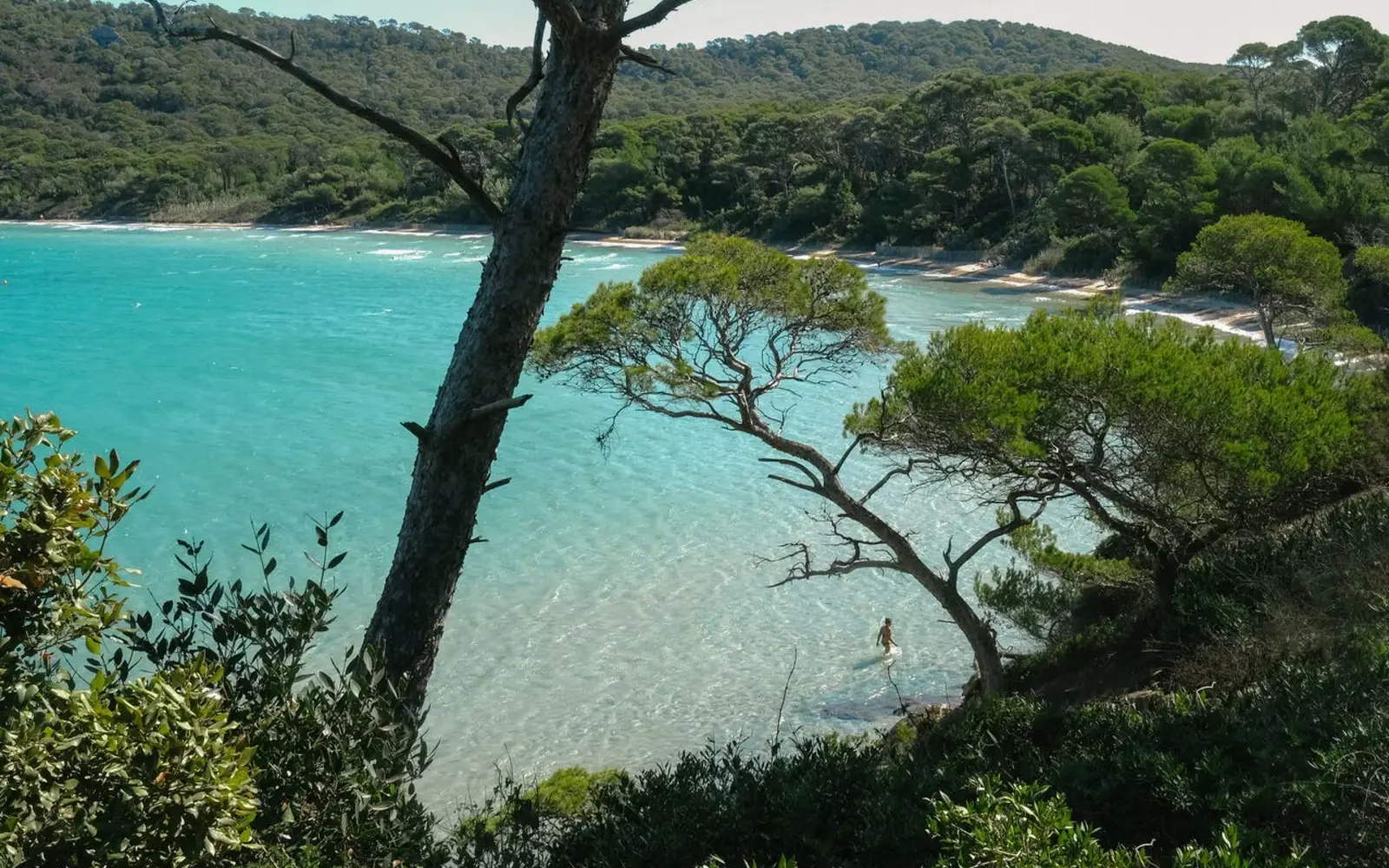 Plage Notre-Dame à Porquerolles