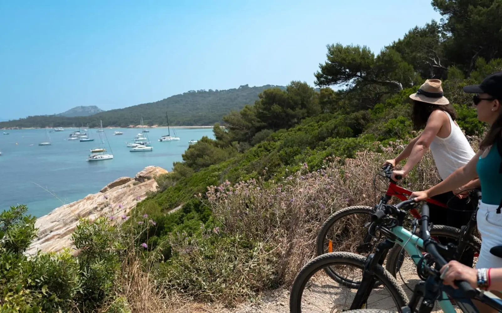 Paysages de Porquerolles