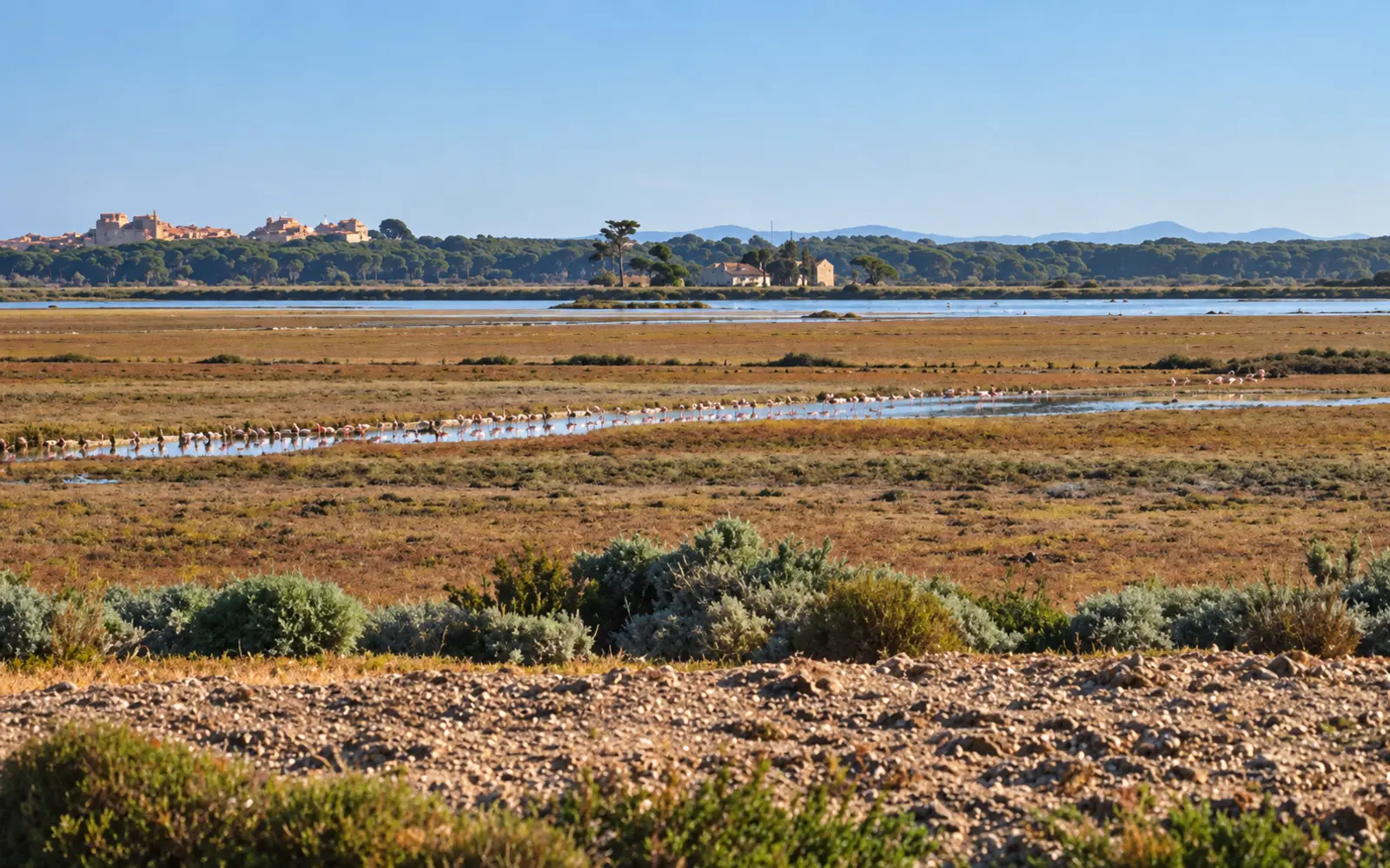 La penisola di Giens