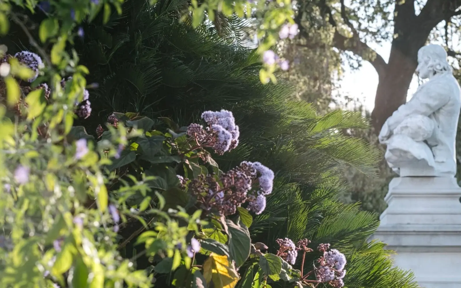 Chalucet et le jardin Alexandre-Ier