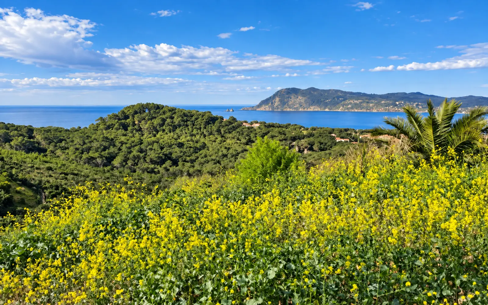 Saint-Mandrier à pied : de Sainte-Asile à Cavalas