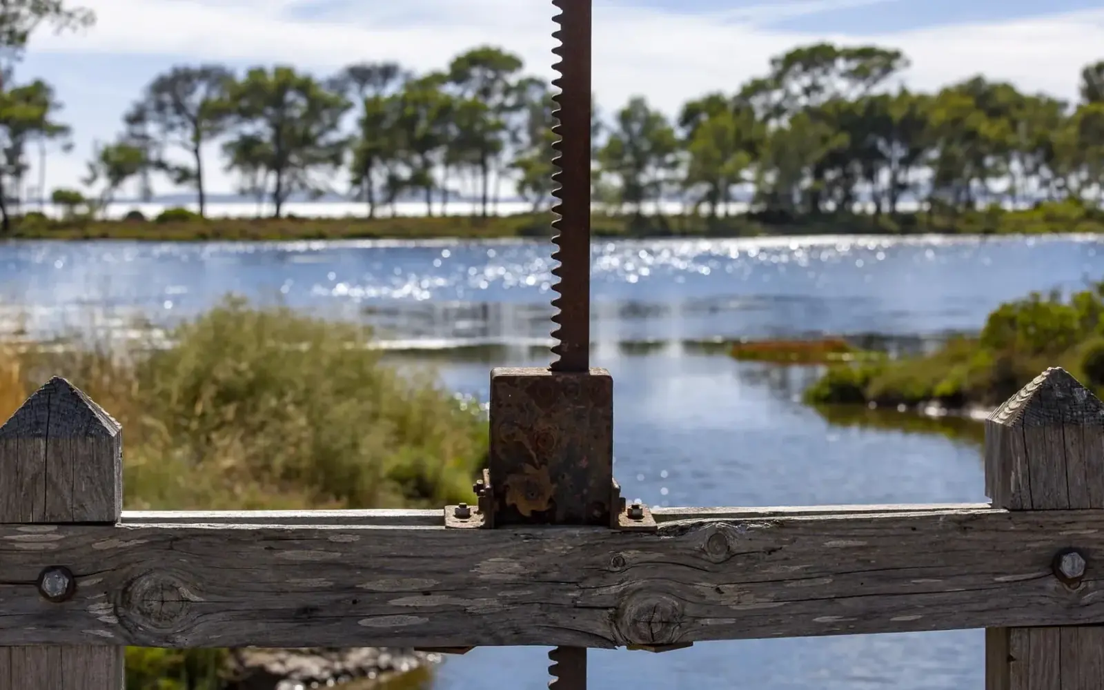 Les Vieux Salins d’Hyères